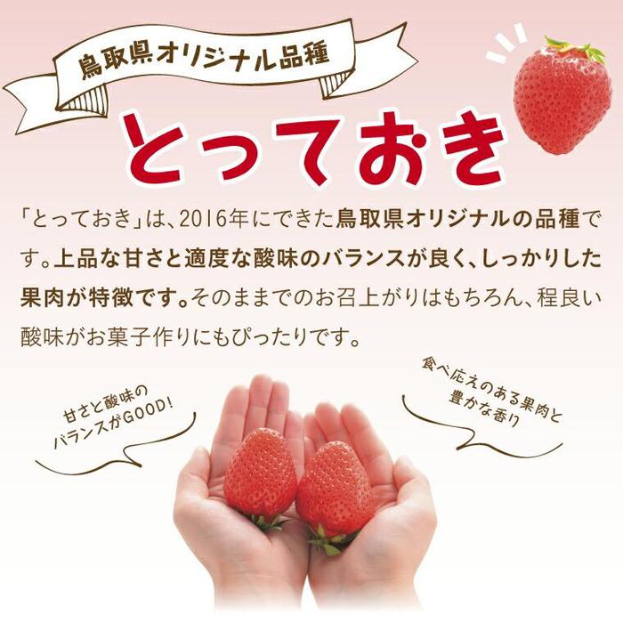 【ふるさと納税】とっておきDX 500g 鳥取いちご【とみハウス】 | 果物 フルーツ 苺 イチゴ あきひめ 章姫 食品 人気 送料無料 期間限定 鳥取市 鳥取県 サムネイル2