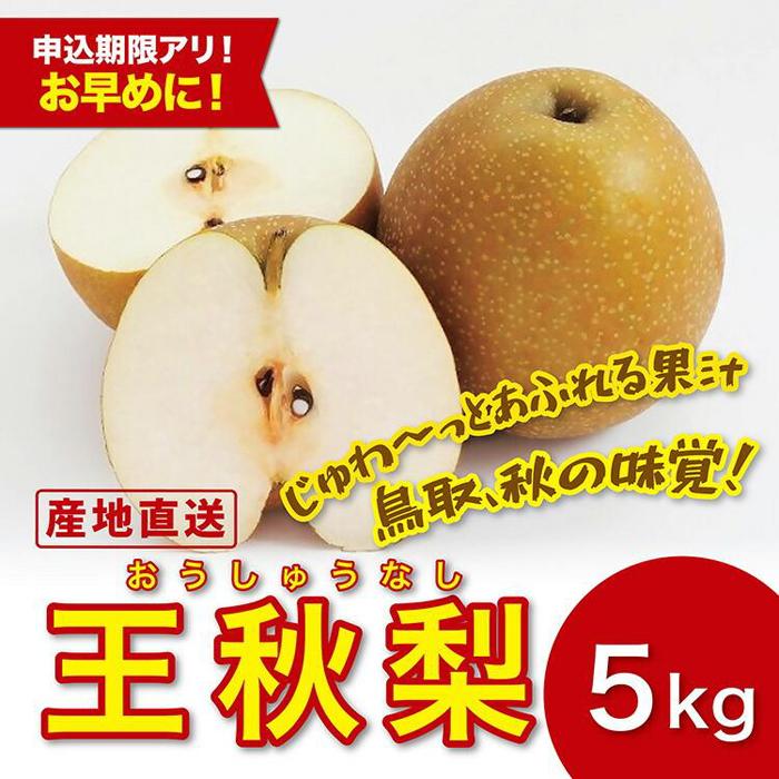 王秋梨 5キロ【安田農園】 | 鳥取 梨 なし 王秋梨 期間限定 送料無料 鳥取県 鳥取市