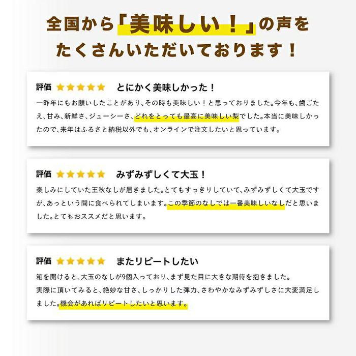 【ふるさと納税】王秋梨 5キロ【安田農園】 | 鳥取 梨 なし 王秋梨 期間限定 送料無料 鳥取県 鳥取市 サムネイル2