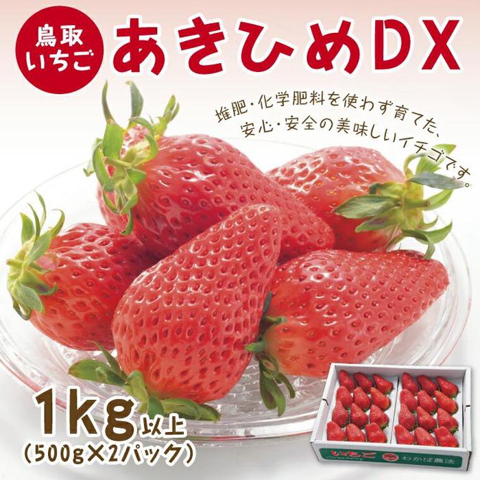 あきひめDX 1kg 鳥取いちご【とみハウス】 | 果物 フルーツ 苺 イチゴ あきひめ 章姫 食品 人気 送料無料 期間限定 鳥取市 鳥取県