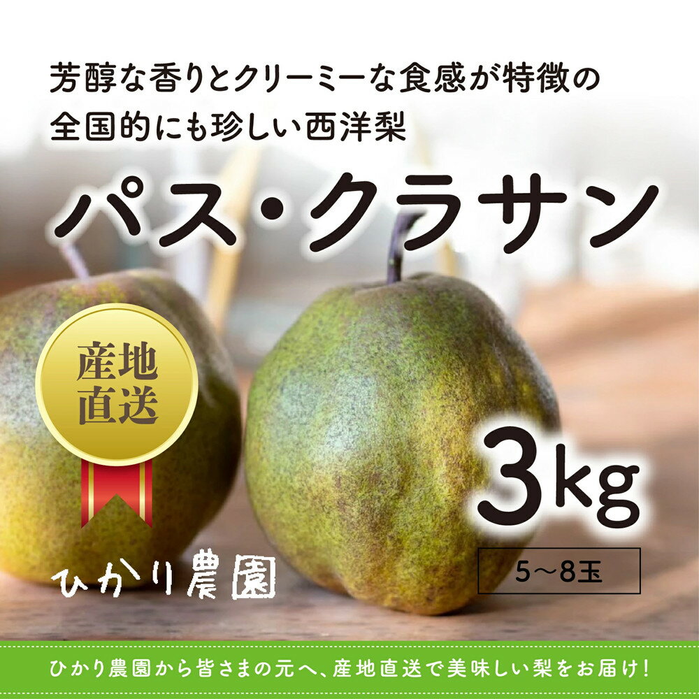 完熟こだわりパス・クラサン 3キロ（ひかり農園） | 鳥取 フルーツ 洋梨 なし 期間限定 送料無料 鳥取県 鳥取市