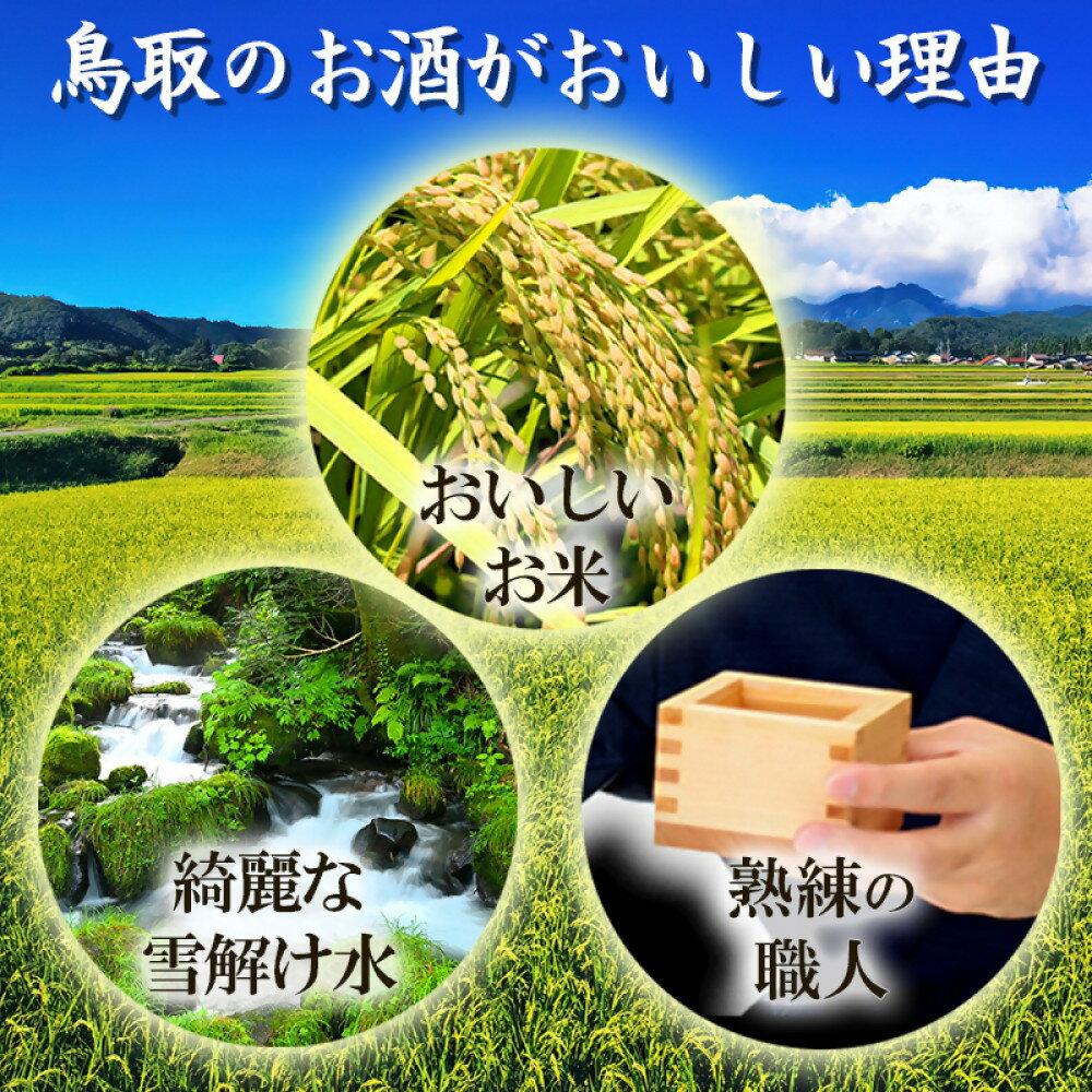 【ふるさと納税】鳥取の地酒(日本酒)ご当地ワンカップ飲み比べセット 180ml×6本 | 鳥取 日本酒 酒 ワンカップ 飲み比べ ドリンク お酒 鳥取県 鳥取市 サムネイル3