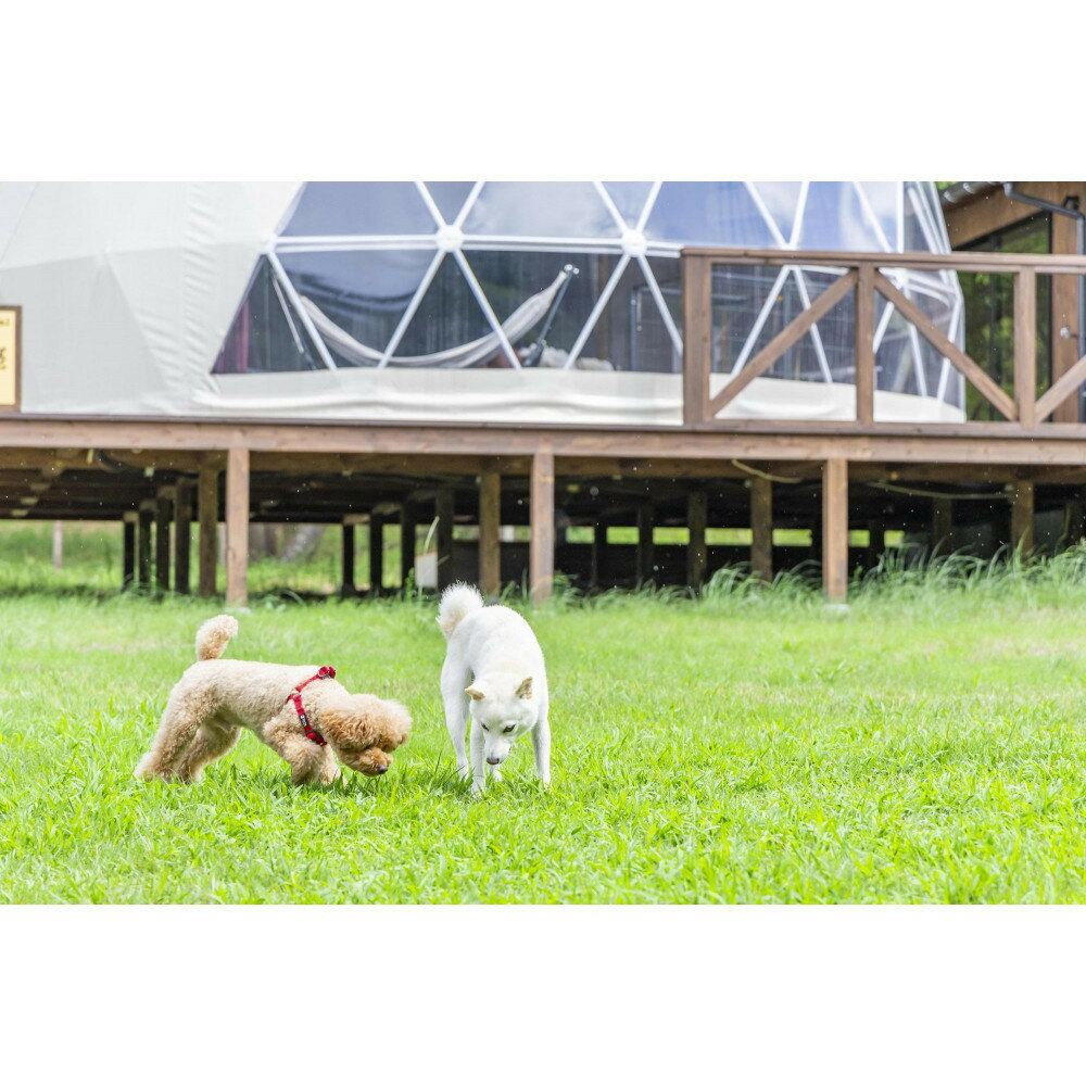 【ふるさと納税】鳥取砂丘でグランピング体験 グランドーム砂優 ご宿泊割引券 2万円分 サムネイル3