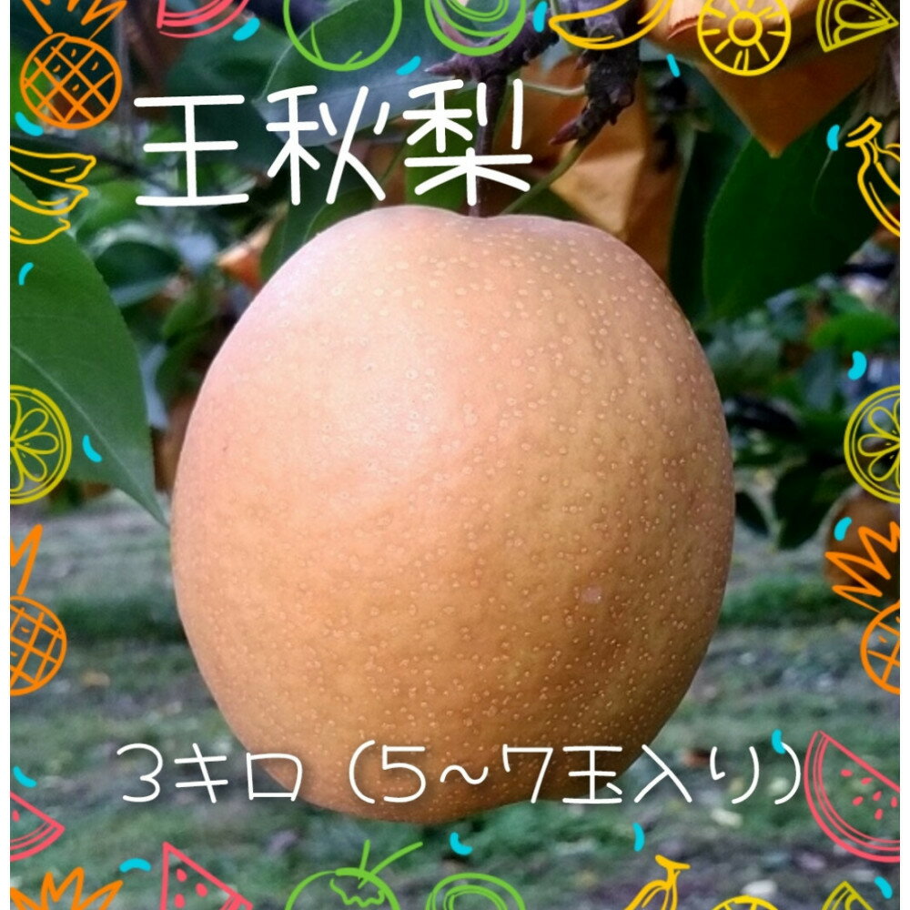 王秋梨 3kg【まえた農園】 | 鳥取 梨 なし 王秋梨 期間限定 送料無料 鳥取県 鳥取市