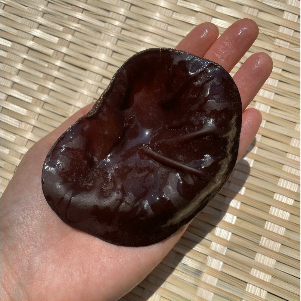 【ふるさと納税】【鳥取県産】生きくらげ 1kg - 画像2