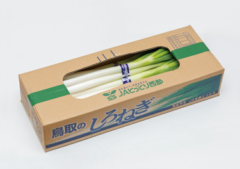 【ふるさと納税】鳥取県産 白ねぎ 3kg(2Lサイズ2本×10束)【25-010-028】鳥取県西部農業協同組合直販推進課 新鮮なものを直売所から、直送いたします。産地直送 鳥取県 白ねぎ 野菜 白ネギ ネギ ねぎ 野菜 白ねぎ 鳥取県産 お取り寄せ ご当地 特産品 鳥取県 米子市 - 画像2