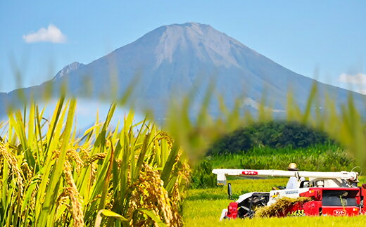 【ふるさと納税】令和7年産 無洗米 大山しらゆき米 10kg コシヒカリ こしひかり むろ米穀 【25-020-019】 - 画像2