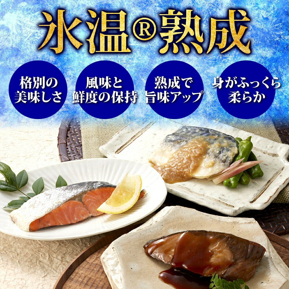 【ふるさと納税】氷温熟成 煮魚・焼魚ギフトセット 10切 魚 さかな 湯煎 簡単調理 レトルト 小分け 冷凍 贈り物 ギフト 金目鯛 鯛 サバ 鯖の味噌煮 鮭 さけ 鮭塩焼き ブリ ぶりの照り焼き ダイマツ 鳥取県 米子市 IN-100 サムネイル2
