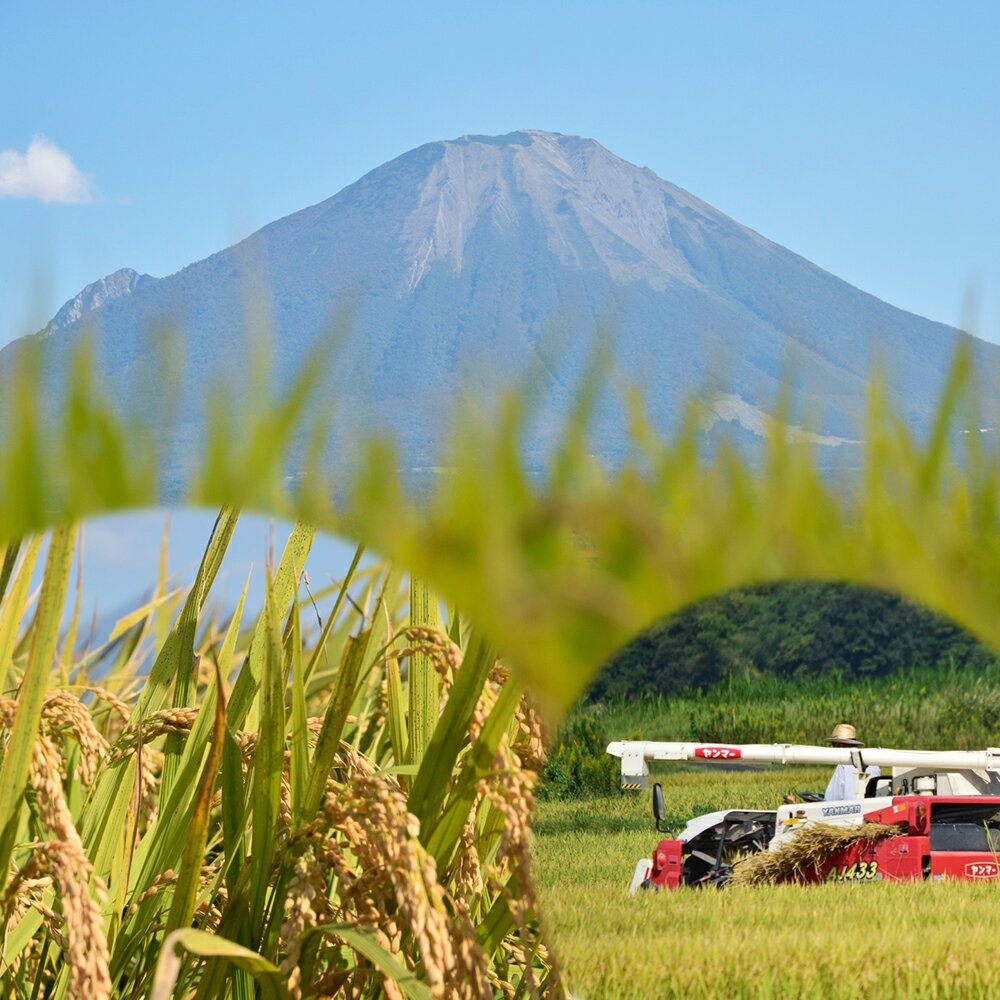 【ふるさと納税】令和7年産 こしひかり コシヒカリ コメ 米 大山しらゆき米 10kg 精白 白米 もっちり むろ米穀 鳥取県 米子市【25-019-007】 - 画像2