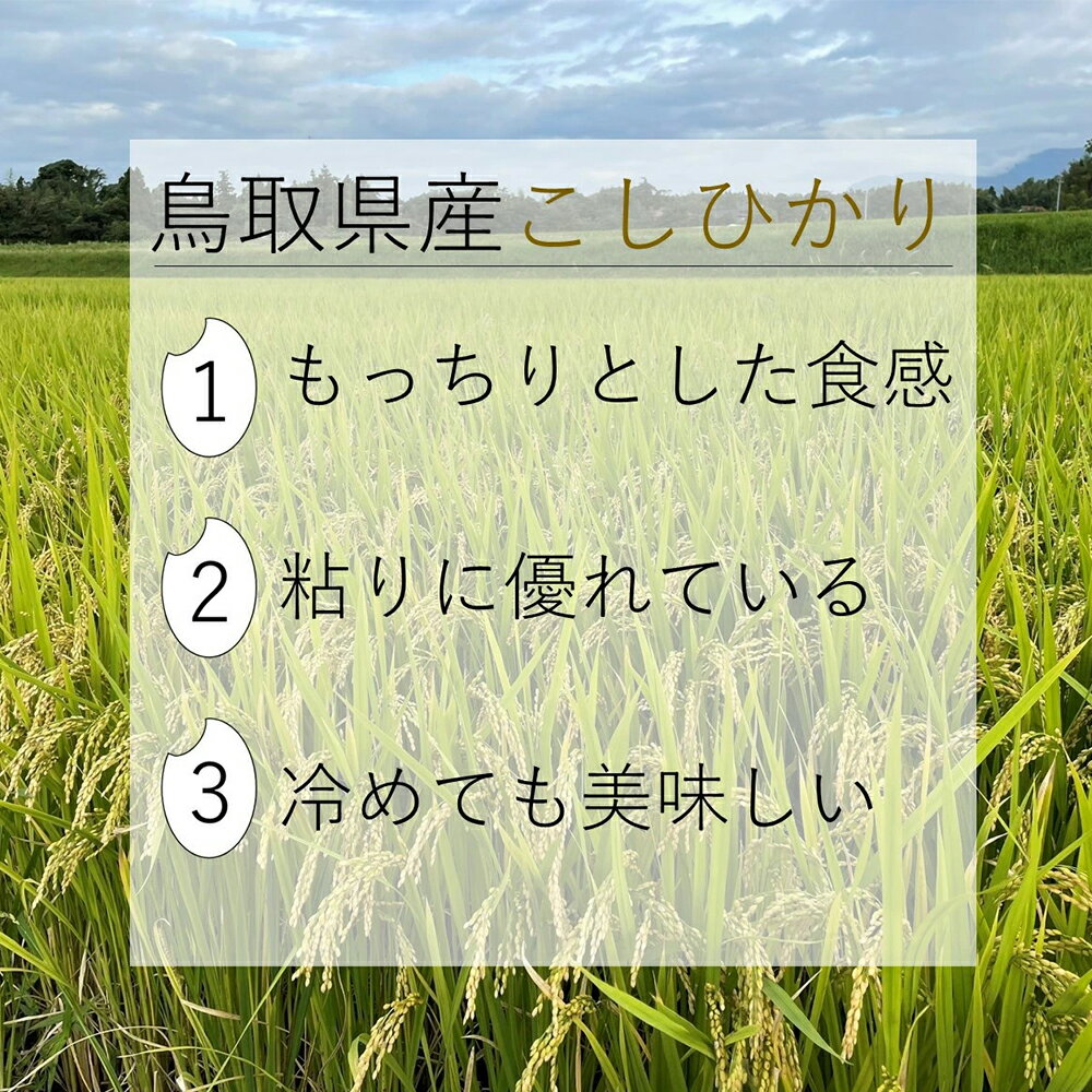 【ふるさと納税】令和7年産 こしひかり コシヒカリ コメ 米 大山しらゆき米 10kg 精白 白米 もっちり むろ米穀 鳥取県 米子市【25-019-007】 - 画像3