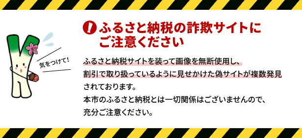 【ふるさと納税】 大山Gビール 飲み比べセット 4種 各4本 計16本 【高島屋選定品】 25NT-027-001 鳥取県 米子市 ふるさと納税 送料無料 お取り寄せ 地ビール 受賞 バラエティ ピルスナー ペールエール ヴァイツェン スタウト 大山 サムネイル3