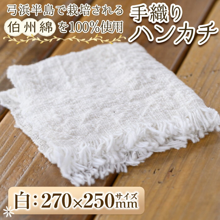 伯州綿ハンカチ(1枚)鳥取県 境港市 ハンドタオル タオル 工芸品 小物 綿 【sm-BC002】【浜っ子】