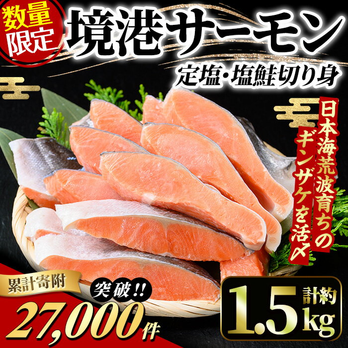 累計寄附件数27,000件突破！数量限定★鳥取県産活〆「境港サーモン」(定塩・塩鮭切り身)(1/4カット真空パック×4・合計約1.5kg）鮭 国産 地魚 魚介 海鮮ギンザケ 脂 塩 切り身 冷凍 【sm-AB001】【弓ヶ浜水産】