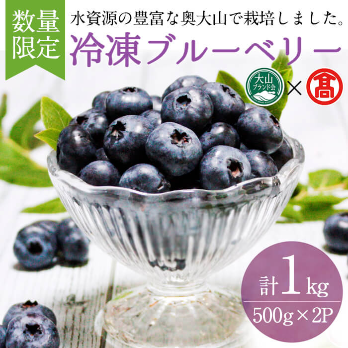 ＜数量限定＞冷凍ブルーベリー(500g×2P・計1kg) 鳥取県 ブルーベリー 果物 くだもの フルーツ 冷凍 大山【T-BI4】【大山ブランド会】