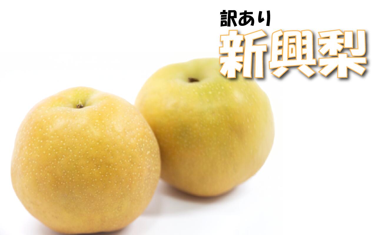 （訳あり）中野農園 梨 ”新興梨” 3～5kg｜鳥取 岩美 梨 なし ナシ 赤梨 果物 フルーツ