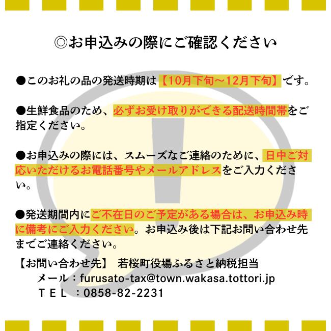 【ふるさと納税】【’26先行予約】農家さん応援！訳あり王秋梨　4kg [224-W24] - 画像2