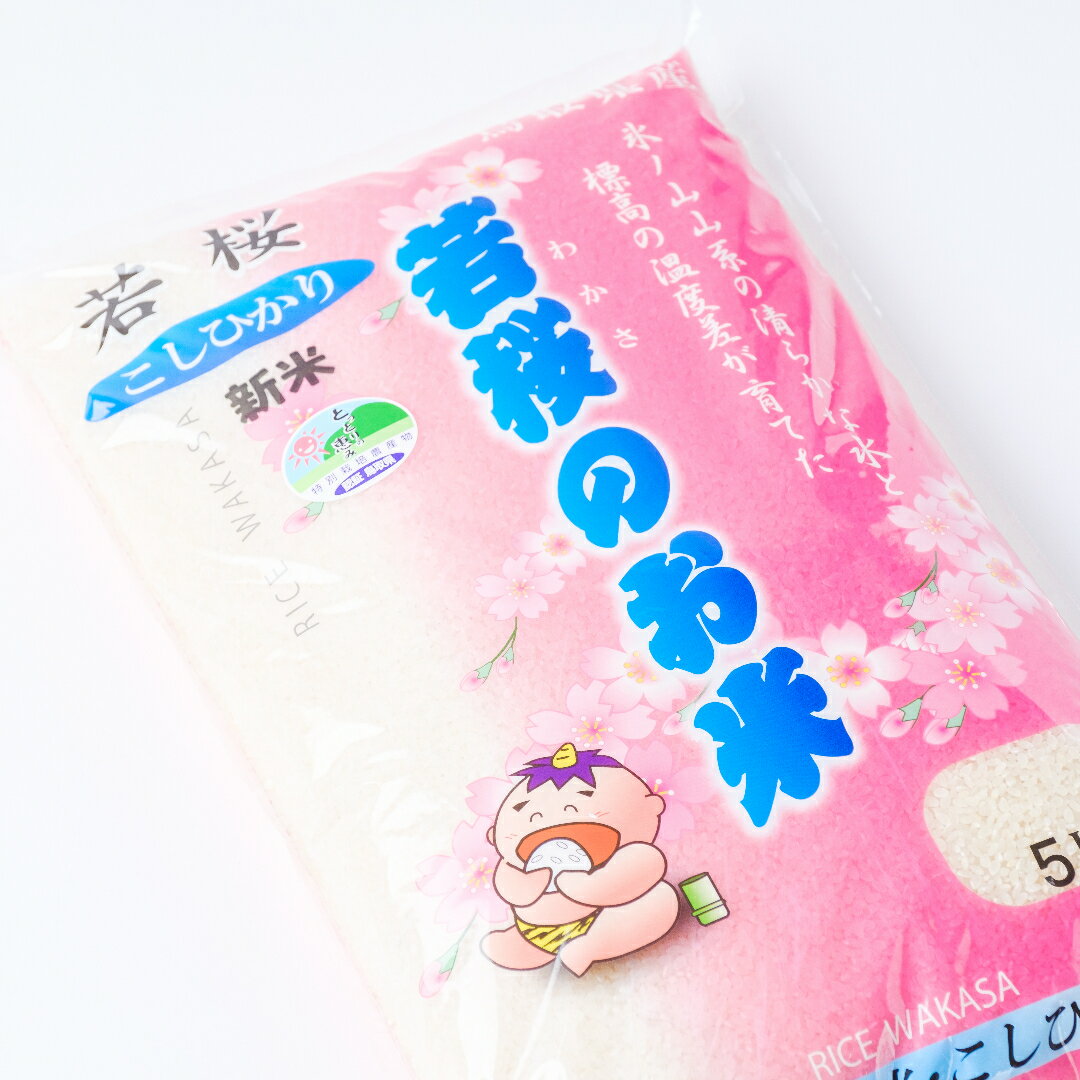 特別栽培米　若桜（わかさ）のお米　コシヒカリ　10kg [363]