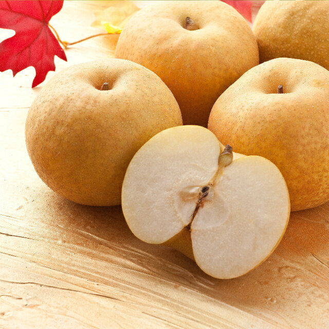 【’26先行予約】農家さん応援！訳あり新興梨（しんこうなし）4kg [223-W23] ／ なし 梨 くだもの 果物 フルーツ 鳥取 若桜町 鳥取県産 送料無料