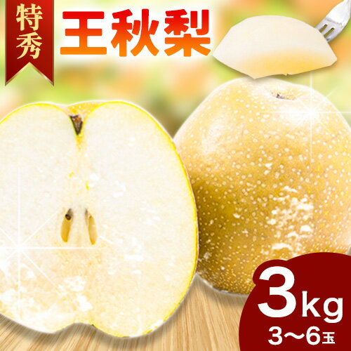 梨 王秋梨 (特秀) 3kg 4L〜5Lサイズ 3〜6玉入り あきやま園 《2025年11月上旬〜2026年1月中旬末頃より出荷予定》鳥取県 八頭町 送料無料 なし フルーツ 果物 旬 梨 お取り寄せフルーツ