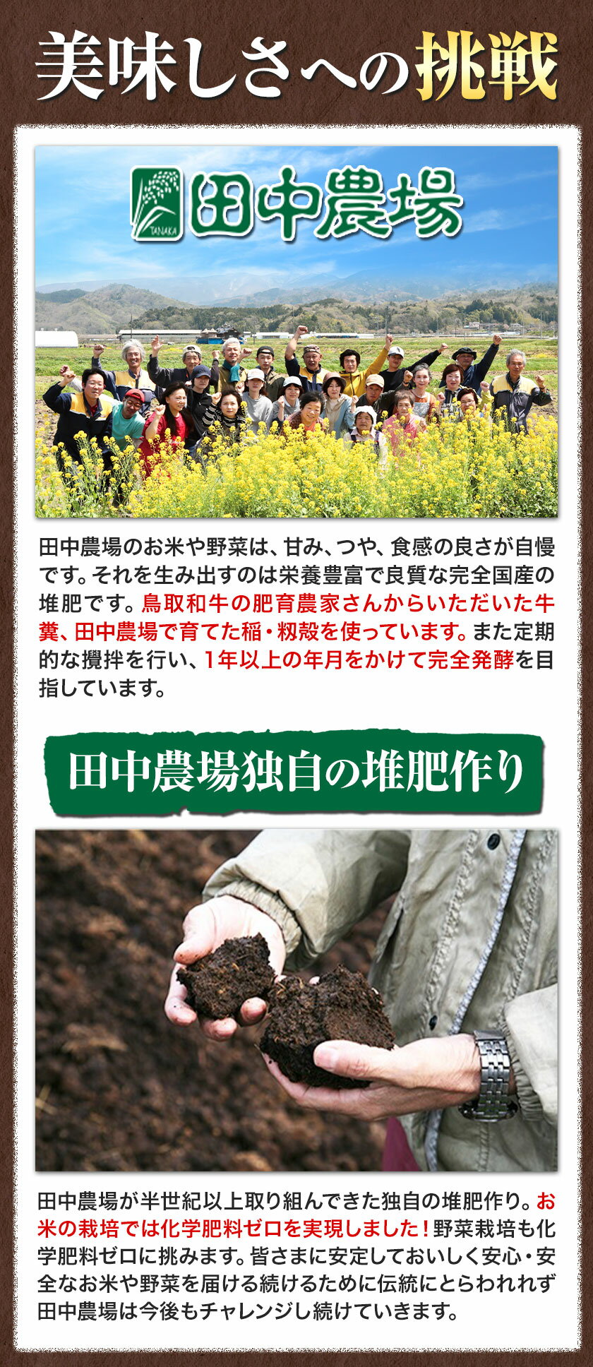 【ふるさと納税】カレー専用米 プリンセスかおり 5kg 有限会社 田中農場《90日以内に出荷予定(土日祝除く)》鳥取県 八頭町 米 お米 ご飯 カレー 送料無料 - 画像3