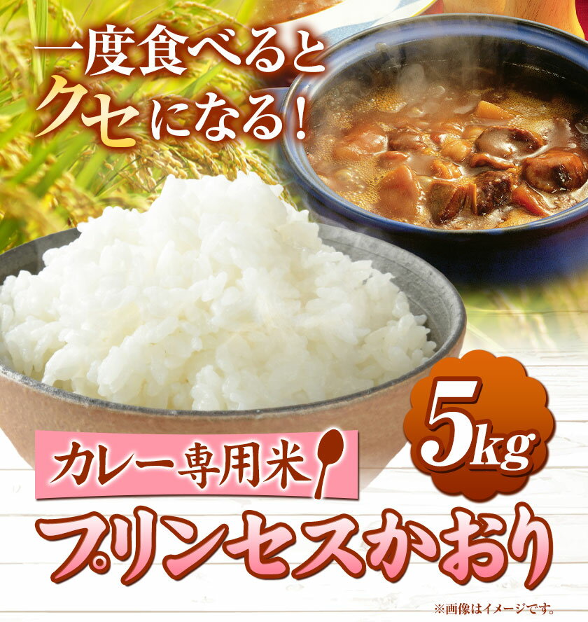 【ふるさと納税】カレー専用米 プリンセスかおり 5kg 有限会社 田中農場《90日以内に出荷予定(土日祝除く)》鳥取県 八頭町 米 お米 ご飯 カレー 送料無料 - 画像2