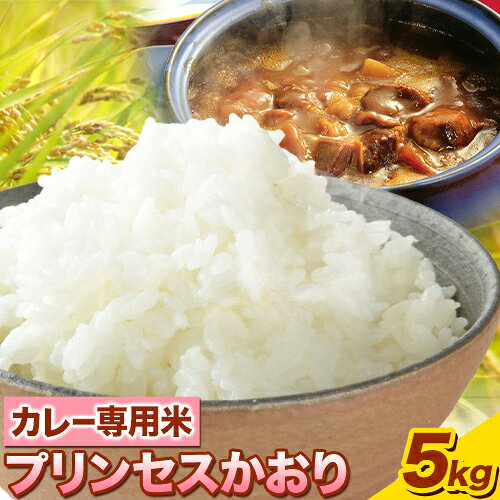 カレー専用米 プリンセスかおり 5kg 有限会社 田中農場《90日以内に出荷予定(土日祝除く)》鳥取県 八頭町 米 お米 ご飯 カレー 送料無料