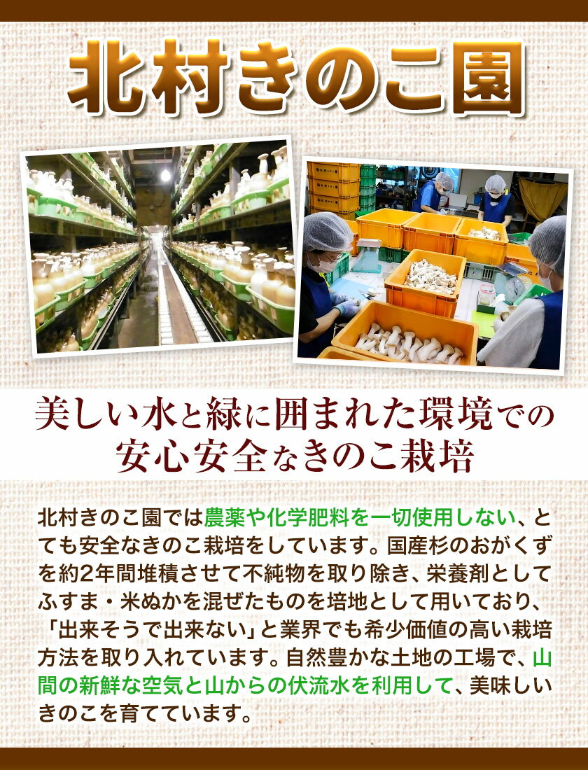 ※パッケージ変更※【ふるさと納税】きのこ 八頭町産きのこのバラエティーセット《90日以内に出荷予定(土日祝除く)》 北村きのこ園 鳥取県 八頭町 エノキ えのき茸 エリンギ エリンギィ 佃煮 おつまみ セット 送料無料 - 画像3