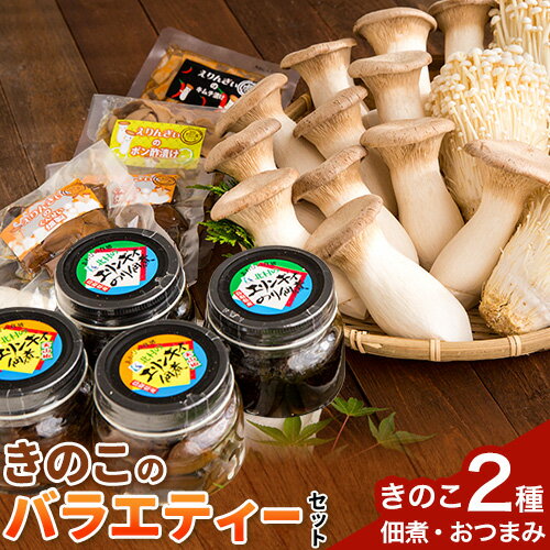 ※パッケージ変更※きのこ 八頭町産きのこのバラエティーセット《90日以内に出荷予定(土日祝除く)》 北村きのこ園 鳥取県 八頭町 エノキ えのき茸 エリンギ エリンギィ 佃煮 おつまみ セット 送料無料