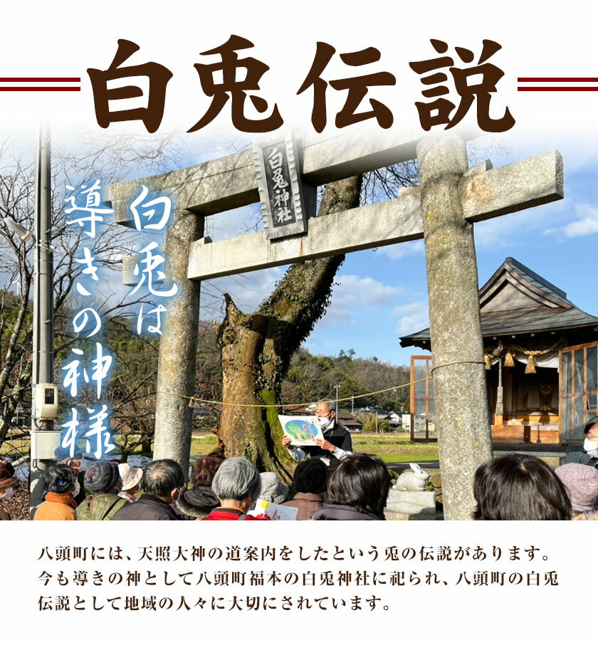 【ふるさと納税】 水引 うさぎ結び 3個セット 八頭町観光協会 《60日以内に出荷予定(土日祝除く)》 鳥取県 八頭町 水引 うさぎ 兎 ウサギ 白兎伝説 送料無料 サムネイル3