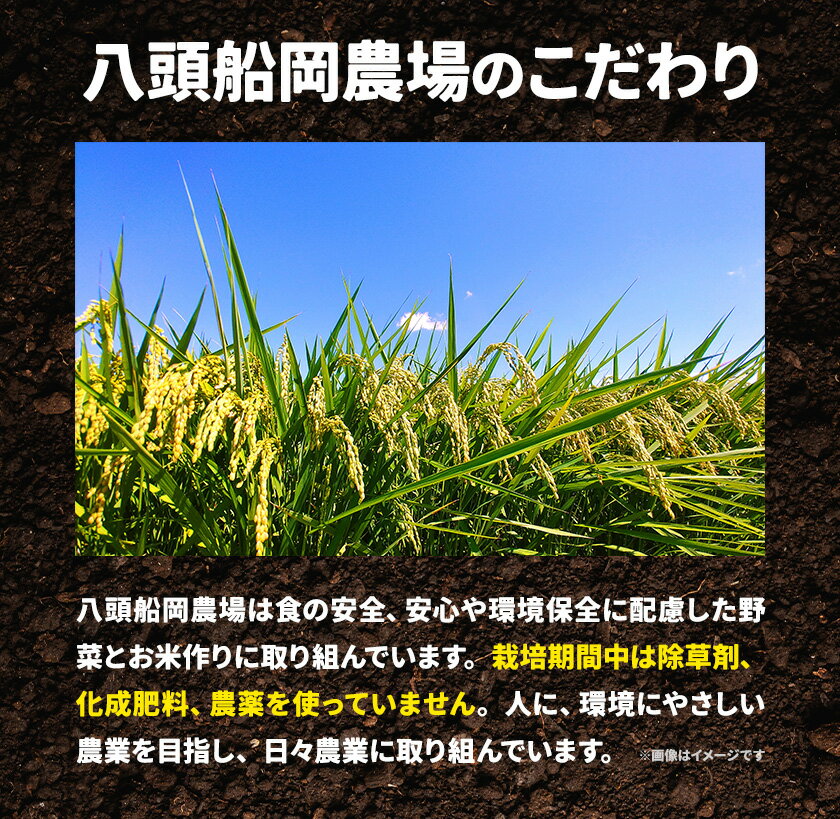 【ふるさと納税】【2026年先行予約】 野菜セット 夏 八頭船岡農場《2026年8月上旬-9月中旬頃出荷》鳥取県 八頭町 黒なす 緑なす ピーマン ジャガイモ - 画像3