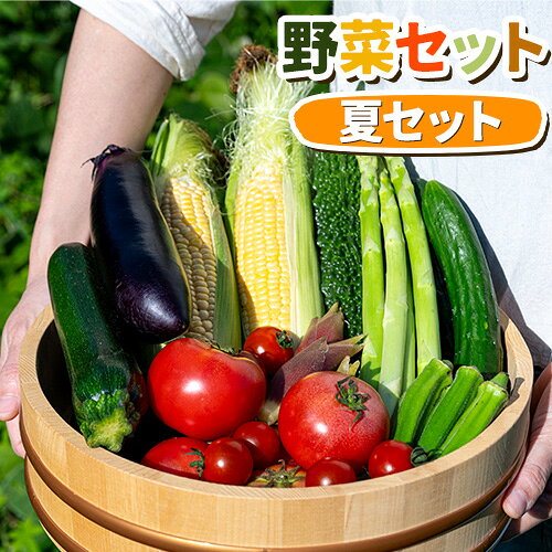 【2026年先行予約】 野菜セット 夏 八頭船岡農場《2026年8月上旬-9月中旬頃出荷》鳥取県 八頭町 黒なす 緑なす ピーマン ジャガイモ