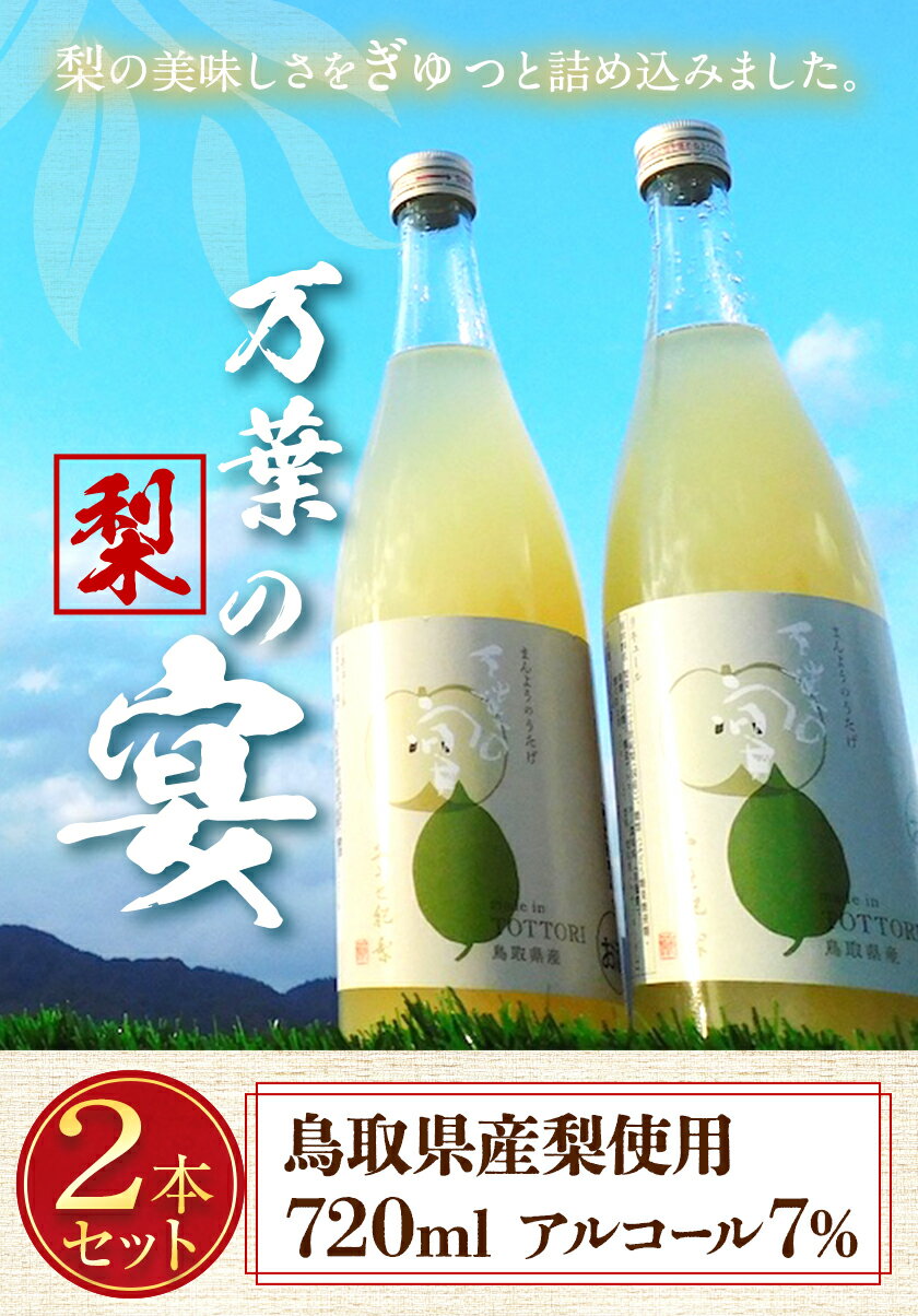 【ふるさと納税】リキュール 鳥取県産梨リキュール「万葉の宴」2本セット 株式会社北岡本店《90日以内に出荷予定(土日祝除く)》鳥取県 八頭町 リキュール 送料無料 サムネイル2