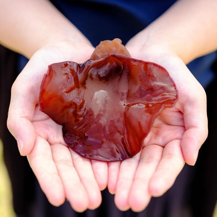 【ふるさと納税】国産乾燥きくらげ3袋セット 温泉地熱栽培 三朝喜くらげ | 三朝温泉 温泉 地熱栽培 きのこ きくらげ キクラゲ 木耳 食品 人気 おすすめ 鳥取県 三朝町 - 画像3