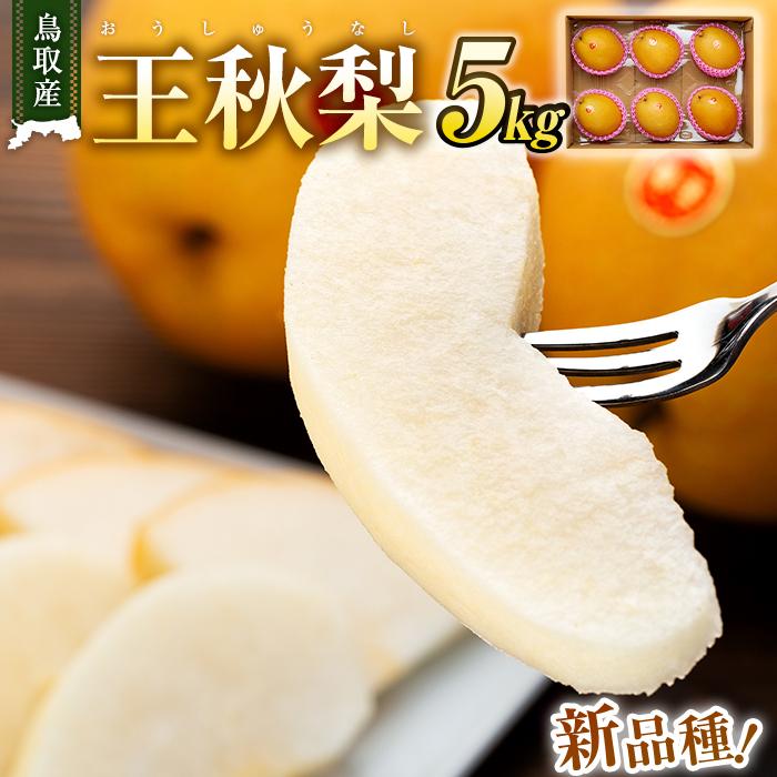【先行予約】梨 王秋梨 鳥取産 5kg ( 5kg × 1箱 ) | 梨 なし 王秋梨 王秋 5kg 果物 フルーツ ナシ 甘い 果汁 和梨 箱 甘み くだもの 国産 果実 鳥取県 三朝町