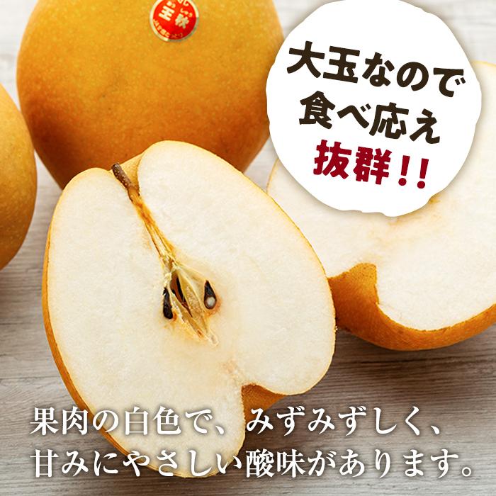 【ふるさと納税】【先行予約】梨 王秋梨 鳥取産 5kg ( 5kg × 1箱 ) | 梨 なし 王秋梨 王秋 5kg 果物 フルーツ ナシ 甘い 果汁 和梨 箱 甘み くだもの 国産 果実 鳥取県 三朝町 サムネイル2