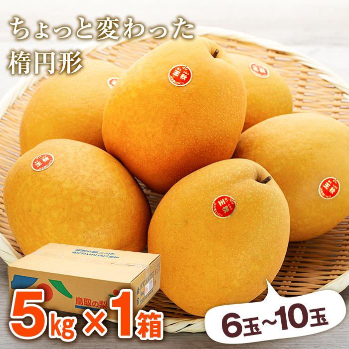 【ふるさと納税】【先行予約】梨 王秋梨 鳥取産 5kg ( 5kg × 1箱 ) | 梨 なし 王秋梨 王秋 5kg 果物 フルーツ ナシ 甘い 果汁 和梨 箱 甘み くだもの 国産 果実 鳥取県 三朝町 サムネイル3