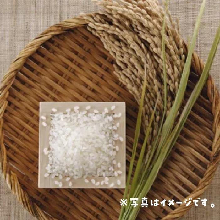 【ふるさと納税】米 ミルキークイーン 令和7年産 鳥取県産 3kg | お米 こめ 白米 食品 人気 おすすめ 送料無料 - 画像2