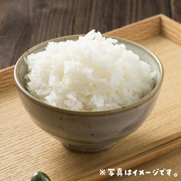 【ふるさと納税】米 無洗米 星空舞（ほしぞらまい） 令和7年産 鳥取県産 10kg （ 5kg × 2 ） | お米 こめ 白米 食品 人気 おすすめ 送料無料 - 画像3