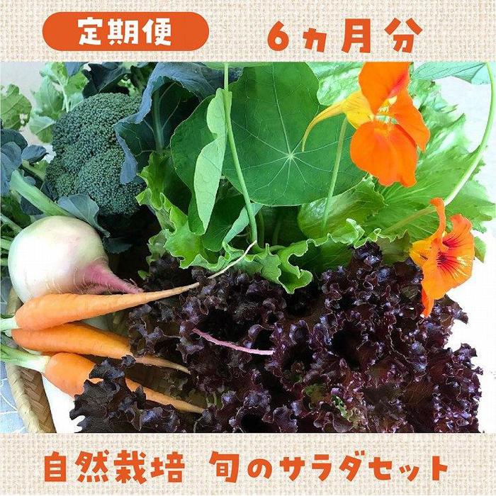 【ふるさと納税】【定期便】自然栽培 旬のサラダセット 約1kg×6回 | 野菜 やさい 食品 人気 おすすめ 送料無料 - 画像2