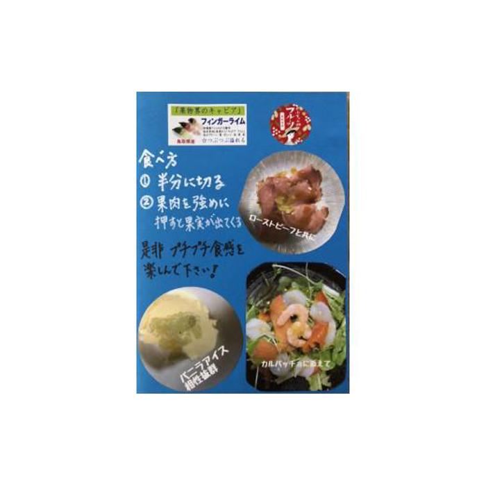 【ふるさと納税】【 先行予約 2025年10月中旬以降発送 】琴浦町産フィンガーライム 130g | フルーツ 果物 くだもの 食品 人気 おすすめ 送料無料 サムネイル3