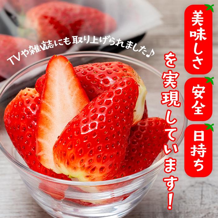 【ふるさと納税】【先行予約】章姫(あきひめ)いちご 4P(250g×4) 「末利華(まつりか)」 | フルーツ 果物 くだもの 食品 人気 おすすめ 送料無料 サムネイル3