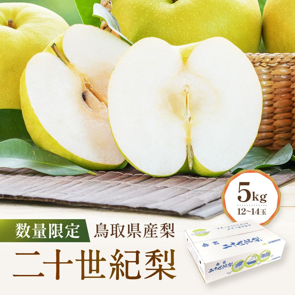 【先行予約】数量限定 鳥取県産梨 二十世紀梨 5kg（12～14玉） | 梨 なし 二十世紀梨 二十世紀 5kg 果物 フルーツ ナシ 甘い 果汁 和梨 箱 甘み くだもの 国産 二十世紀 にじゅっせいき なし 果実 鳥取県 琴浦町
