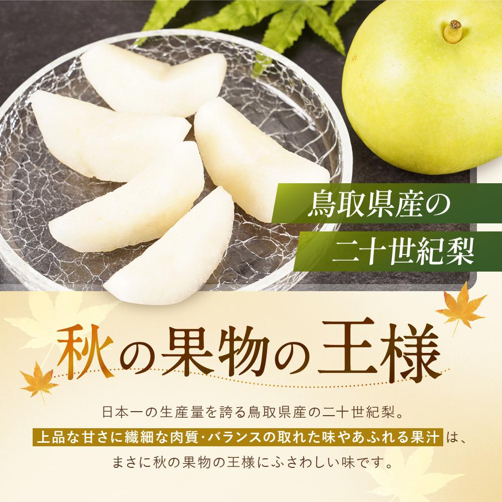 【ふるさと納税】【先行予約】数量限定 鳥取県産梨 二十世紀梨 5kg（12～14玉） | 梨 なし 二十世紀梨 二十世紀 5kg 果物 フルーツ ナシ 甘い 果汁 和梨 箱 甘み くだもの 国産 二十世紀 にじゅっせいき なし 果実 鳥取県 琴浦町 - 画像2