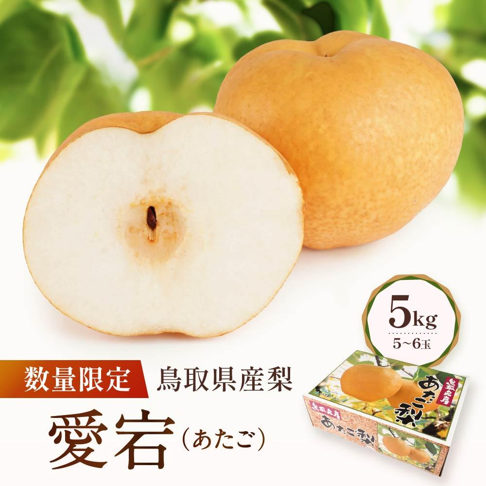 【先行予約】数量限定 鳥取県産梨 愛宕（あたご） 5kg（5～6玉） | フルーツ 果物 くだもの 食品 人気 おすすめ 送料無料