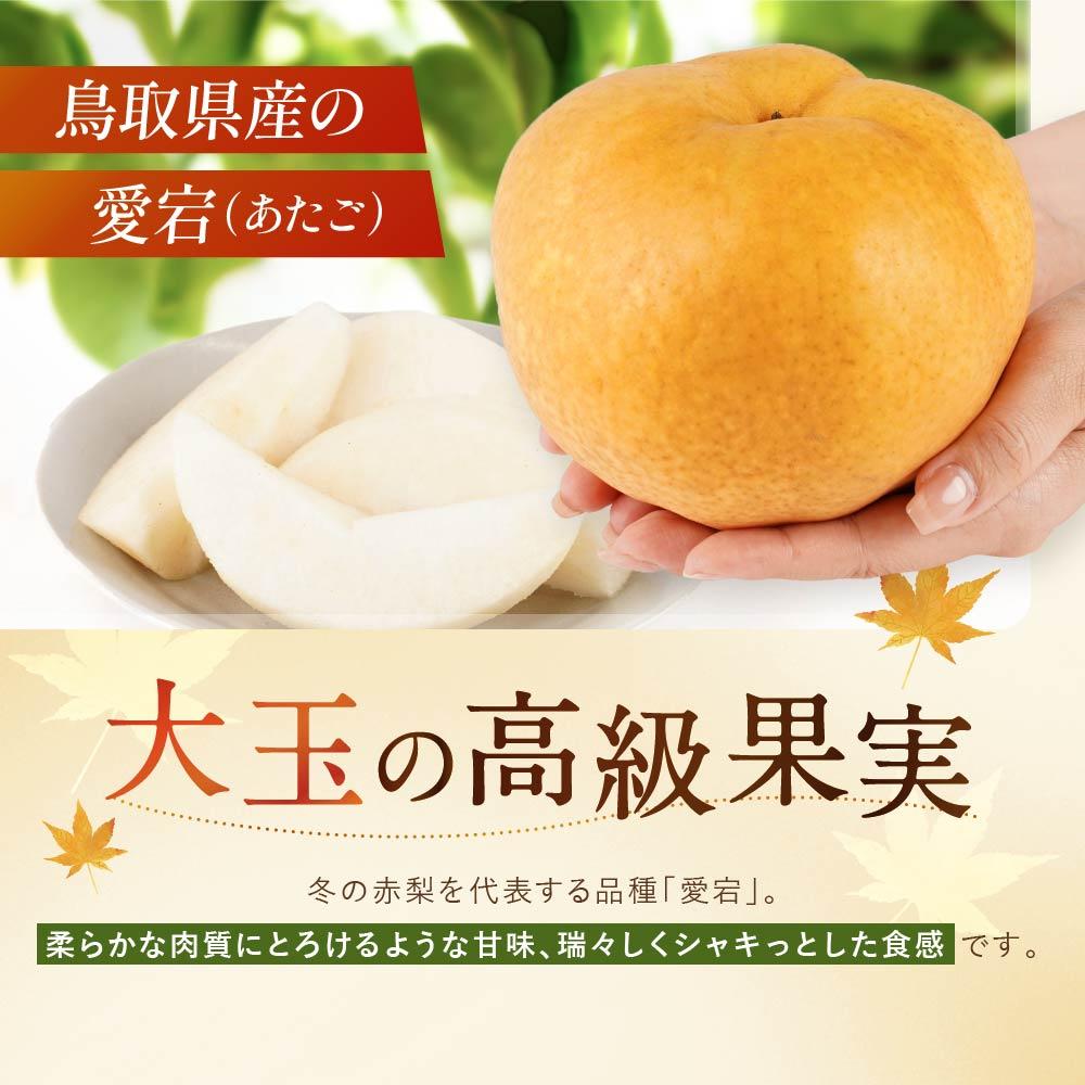【ふるさと納税】【先行予約】数量限定 鳥取県産梨 愛宕（あたご） 5kg（5～6玉） | フルーツ 果物 くだもの 食品 人気 おすすめ 送料無料 サムネイル2