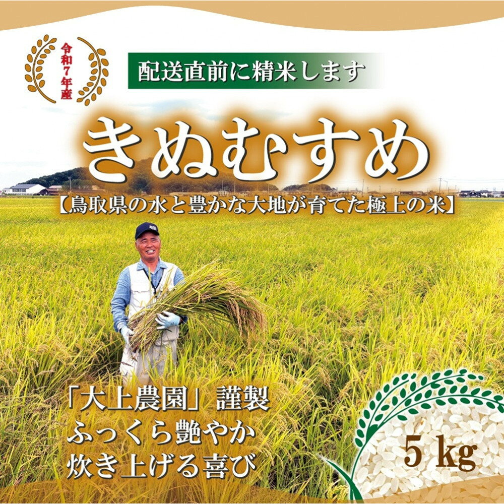 令和7年産　大上農園きぬむすめ 5kg | キヌムスメ 米 お米 こめ コメ ごはん ご飯 白米