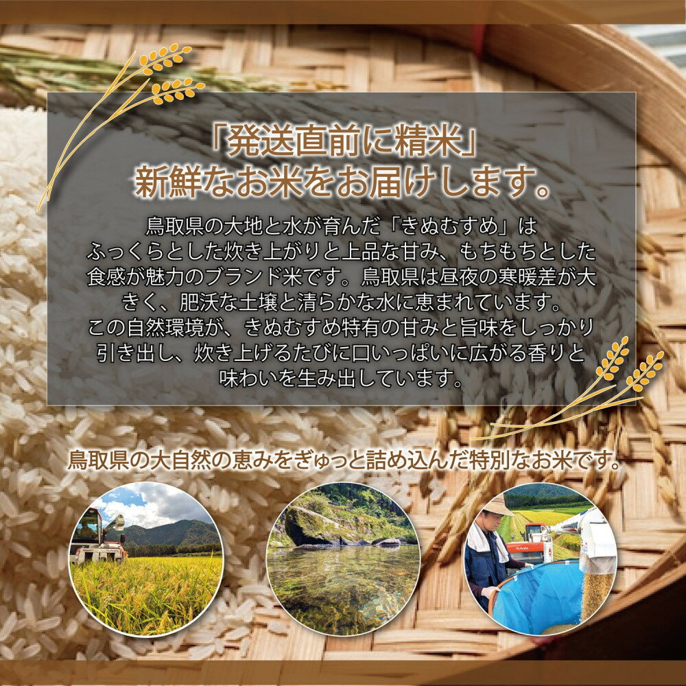 【ふるさと納税】令和7年産　大上農園きぬむすめ 5kg | キヌムスメ 米 お米 こめ コメ ごはん ご飯 白米 - 画像3