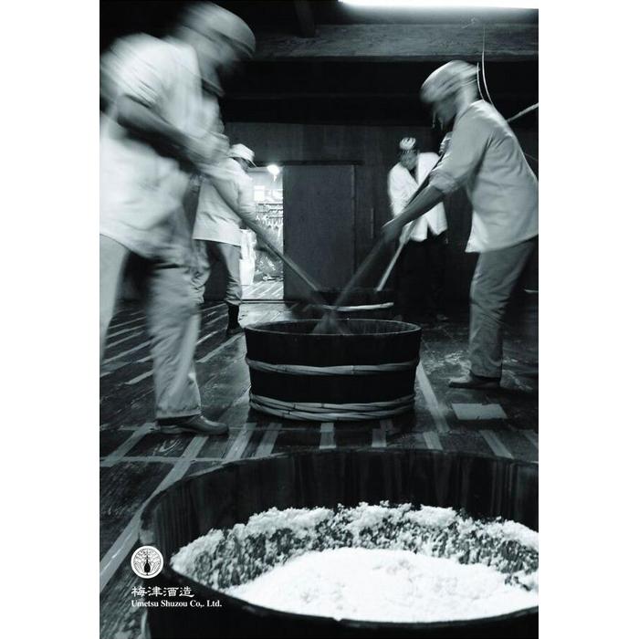 【ふるさと納税】424.日本酒の飲み比べセット【G】 サムネイル2