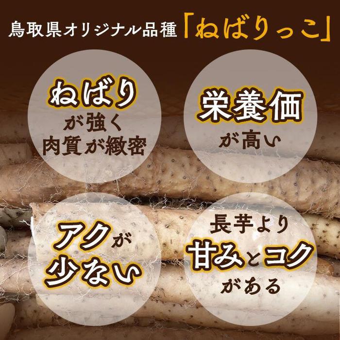 【ふるさと納税】321.≪先行受注≫ ねばりっこ 3～4本 ※2025年11月上旬～2026年4月中旬頃に順次発送予定 | 野菜 やさい 根菜 とろろ 長芋 芋 いも 鳥取県 北栄町 おすすめ 人気 送料無料 サムネイル2