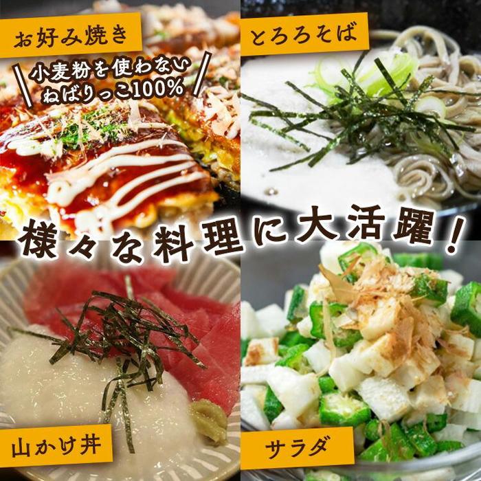 【ふるさと納税】321.≪先行受注≫ ねばりっこ 3～4本 ※2025年11月上旬～2026年4月中旬頃に順次発送予定 | 野菜 やさい 根菜 とろろ 長芋 芋 いも 鳥取県 北栄町 おすすめ 人気 送料無料 サムネイル3